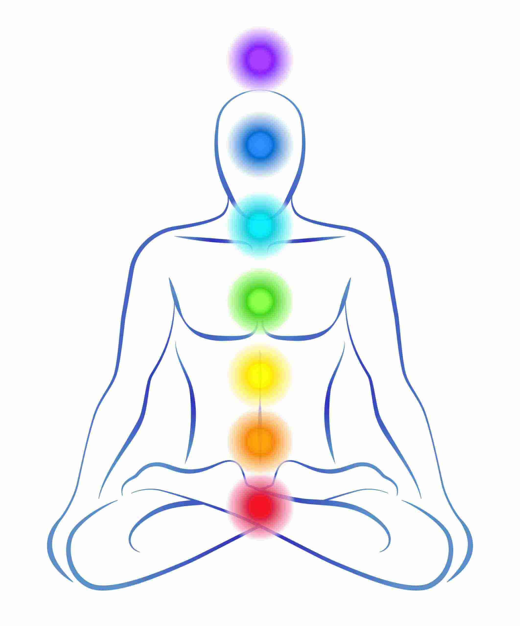 The 7 Chakras Chart illustrated on an outline of a man with Chakra Colors starting at the base of the of spine to the top of the head. Yoga Blog