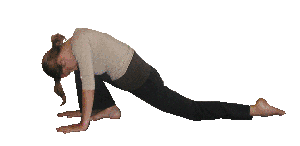 Young woman performing Overstepping Yoga pose. front knee is bent and above knee back leg is bent and knee on the ground