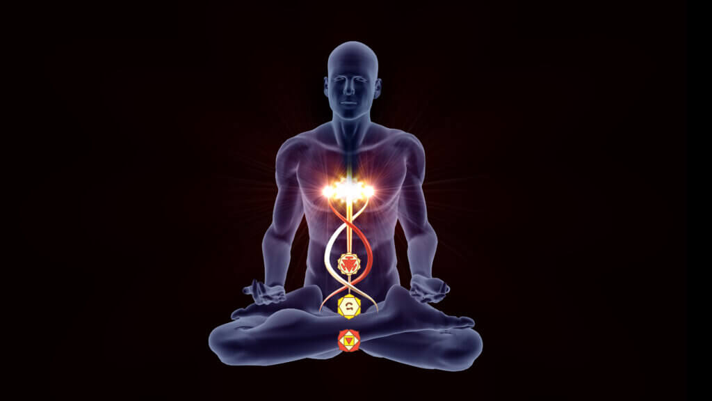 Outline Image of a seated man showing connection of the lower chakras to the green heart chakra. Chakras are affected by yoga poses