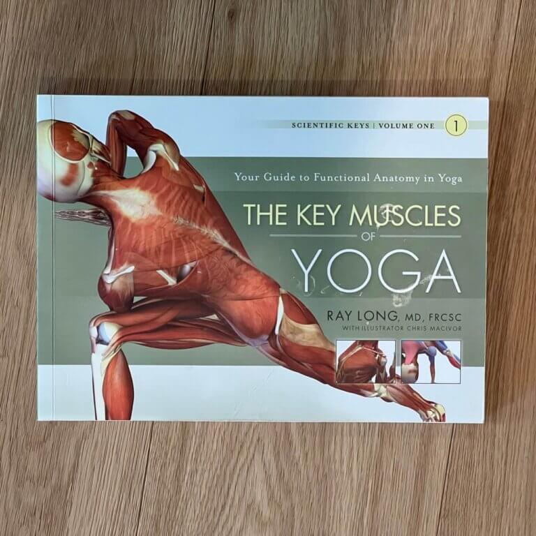 image of the Key muscles of yoga. best books for yoga teachers
