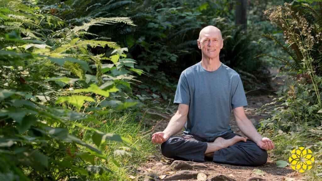 Man seated in a forest meditating yin vs yang yoga. Bernie Clark