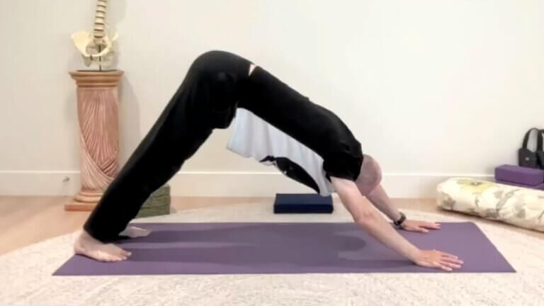 Bernie Clark demonstrates a gentle Downward Dog in a Yin Yoga Sun Salutation for beginners.