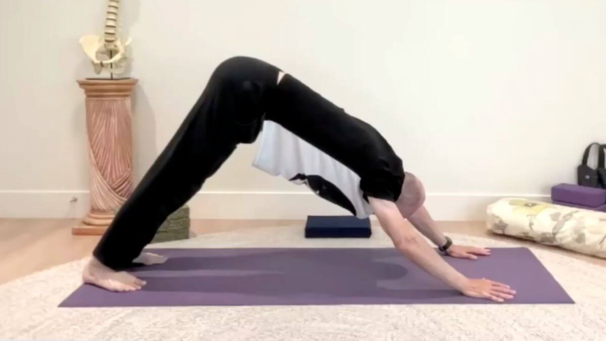 Yin Yoga Sun Salutation for Beginners
