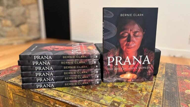 January 2026 Newsletter