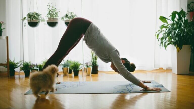 Learn yoga from home with Asana at Home